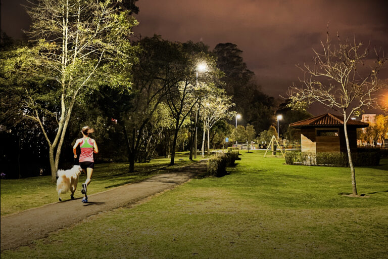 Alumbrado público fotovoltaico, Centrosur innova